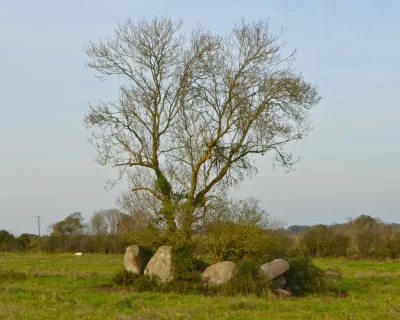 LE-DOLMEN-DE-LA-SALLE-AUX-FEES_620613