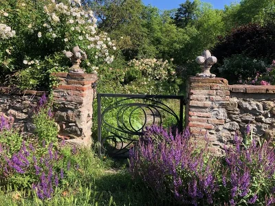 LE-GRAND-CEDRE-GITE-8211-Campome_2773824