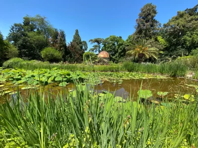 LE-JARDIN-DES-PLANTES_559490