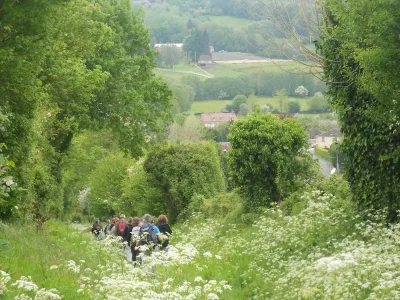 LE-MESNIL-MAUGER-Les-Trois-clochers-8211-78KM-8211-Mezidon-Vallee-d039Auge_3273050