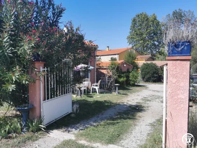 LE-PALMIER-8211-Ceret_3111282