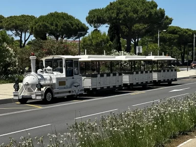 LE-PETIT-TRAIN-DE-GRUISSAN_704184