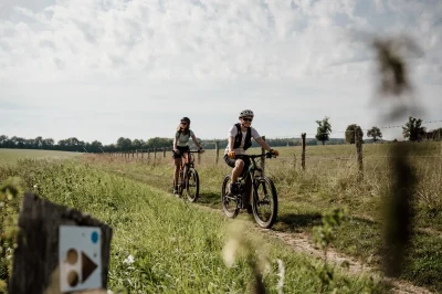LE-PIN-le-Plateau-de-Moyaux-8211-25-Km-D-97-m-8211-Le-Pin_3248043
