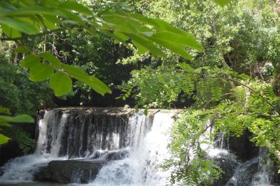 LE-PRESBYTERE_152287