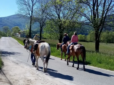 LE-RANCH-DU-MADRES-8211-Roquefort-de-Sault_3829593