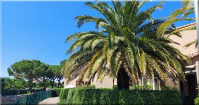 LE-RIVAGE-237-8211-Saint-Cyprien_2255483