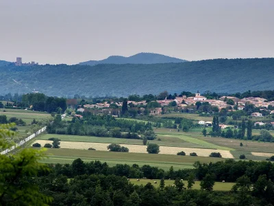 LE-SENTIER-DU-LABYRINTHE-VERT-8211-Nebias_3829962
