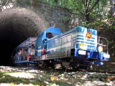 LE-TAC-TRAIN-DE-L039ANDORGE-EN-CEVENNES-8211-Saint-Julien-des-Points_1974409