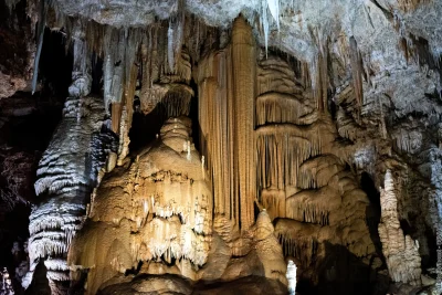 LE-TRESOR-DES-GORGES-8211-24-08-2025-8211-Saint-Jean-de-Fos_2723218