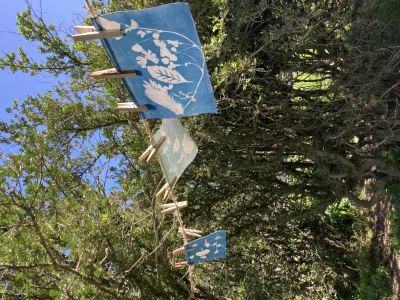 LES-ATELIERS-DE-LA-CABANE-DECOUVERTE-DU-CYANOTYPE-8211-28-10-2025-8211-Prades-le-Lez_2990280