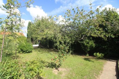 LES-BAYLES_117905