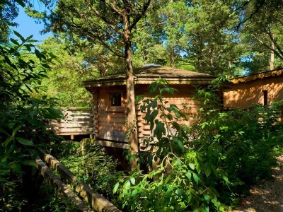 LES-CABANES-DANS-LES-BOIS-8211-Villalier_2505276