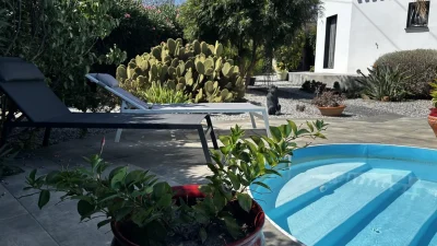 LES-CYCAS-8211-Ponteilla_2816362