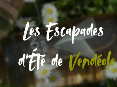 LES-ESCAPADES-D039ETE-DE-VENDEOLE-8211-VIGNES-amp-VERRES-8211-29-08-2025-8211-Arzens_2857749