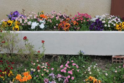 LES-GITES-FLEURIS-DU-quotPINTEquot-1-GOUTZ_152639