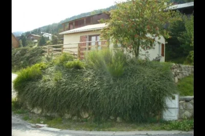 LES-LUPINS-8211-Les-Angles_2271025