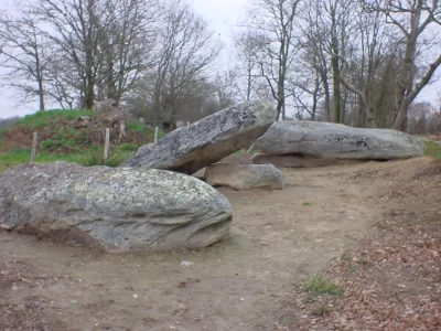 LES-MENHIRS-DES-PLATENNES_611901