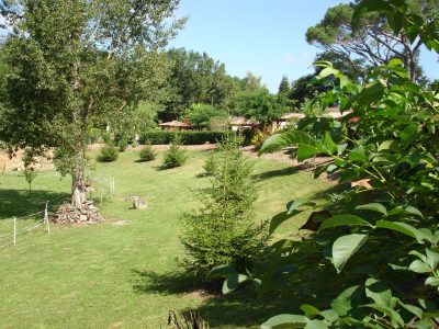 LES-MILLE-FEUILLES-Apt-n°1_152562