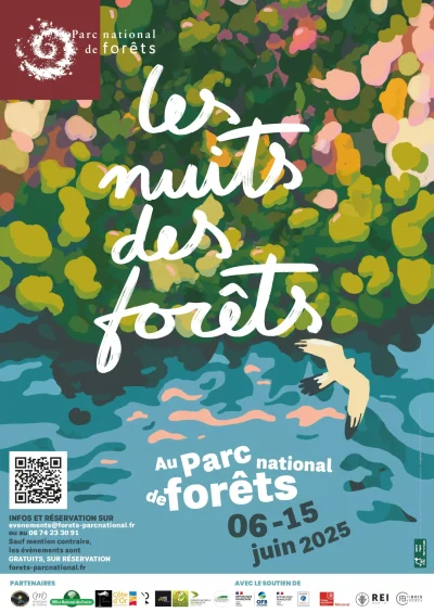 LES-NUITS-DES-FORETS-L039EPOPEE-DU-VAL-8211-15-06-2025-8211-Le-Val-d039Esnoms_2555374