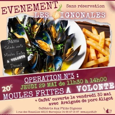 LES-OIGNONALES-8211-29-05-2025-8211-Marvejols_2675979