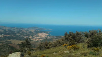 LES-ROMARINS-8211-Banyuls-sur-Mer_2953414