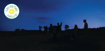 LES-SORTIES-NATURE-OBSERVATIONS-NOCTURNES-8211-27-08-2025-8211-Saint-Alban-sur-Limagnole_2765251