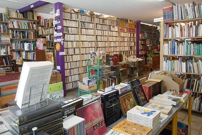LIVRES-ET-VINYLES-D039OCCASION-A-FAYL-BILLOT-8211-BOUQUINISTE_743056