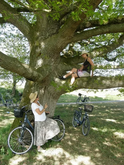 LOCATION-DE-VELO-A-ASSISTANCE-ELECTRIQUE-VELOWATT-8211-Blousson-Serian_2385892