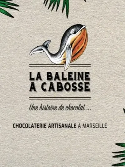La-Baleine-a-cabosse-8211-Marseille-6e-Arrondissement_2360486