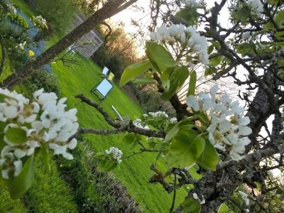 La-Blanchetiere_128831