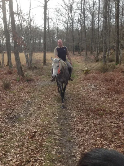 La-Brenne-a-cheval-En-passant-par-la-foret-de-Luzeret-circuit-a-la-journee-8211-8211-Luzeret_1732676