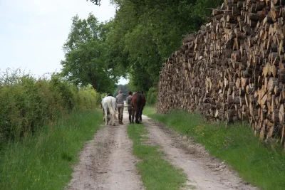 La-Brenne-a-cheval-Entre-Benaize-et-Anglin-circuit-a-la-journee-8211-Saint-Hilaire-sur-Benaize_1722998
