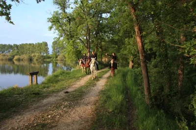La-Brenne-a-cheval-Grand-tour-des-etangs-de-la-Brenne-en-3-jours-8211-Mezieres-en-Brenne_1390661
