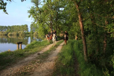 La-Brenne-a-cheval-Grand-tour-des-etangs-de-la-Brenne-en-3-jours-8211-Rosnay_3696395
