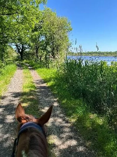 La-Brenne-a-cheval-Grand-tour-des-etangs-de-la-Brenne-en-3-jours-par-la-Route-d039Artagnan-8211-Rosnay_3547678