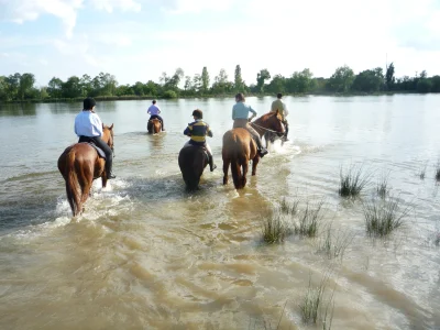La-Brenne-a-cheval-circuits-en-marguerite-au-depart-de-la-Grande-Metairie-de-Notz-Marafin-8211-Saulnay_1391464-1