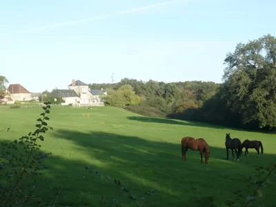 La-Brenne-a-cheval-circuits-en-marguerite-au-depart-du-domaine-de-Montgenoux-8211-Prissac_1391250