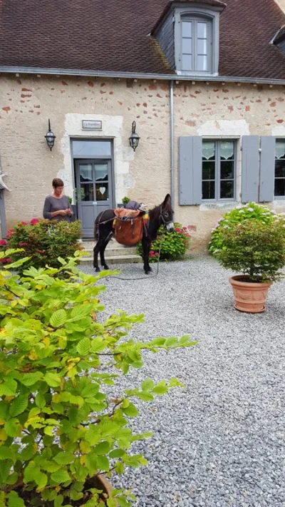 La-Brenne-a-cheval-circuits-en-marguerite-au-depart-du-domaine-de-la-Crapaudine-8211-Rosnay_1391392-1