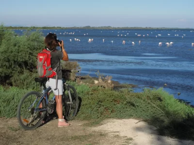 La-Camargue-a-Velo-etape-3-Le-Rhone-entre-mythes-et-jardin-nourricier_715052