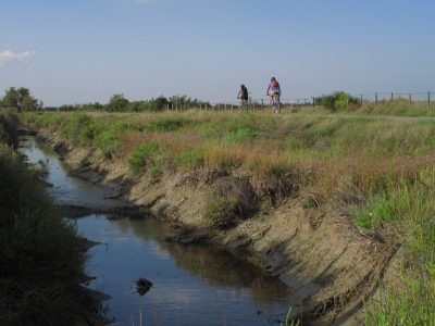 La-Camargue-a-Velo-etape-5-La-digue-a-la-mer_24914