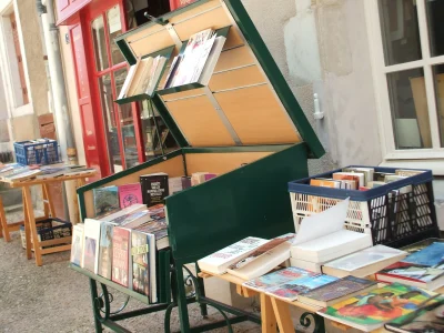 La-Cite-de-l039Ecrit-et-des-Metiers-du-Livre-8211-Montmorillon_2454412