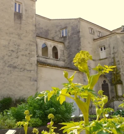 La-Collegiale-8211-Saint-Marc-la-Lande_2887113