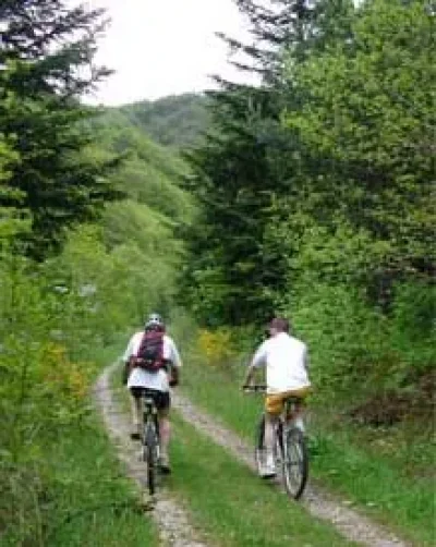 La-Colombeche-8211-VTT-n°8-8211-Chastel-Nouvel_3782701