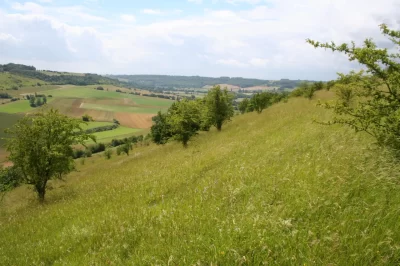 La-Cote-Sainte-Helene_613360