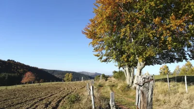 La-Croix-de-la-Gaillarde-8211-Grandrieu_3742217