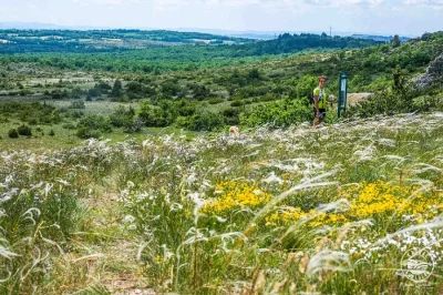 La-Deveze-de-Lapanouse-de-Cernon-et-du-Viala-du-Pas-de-Jaux-8211-Lapanouse-de-Cernon_2232893