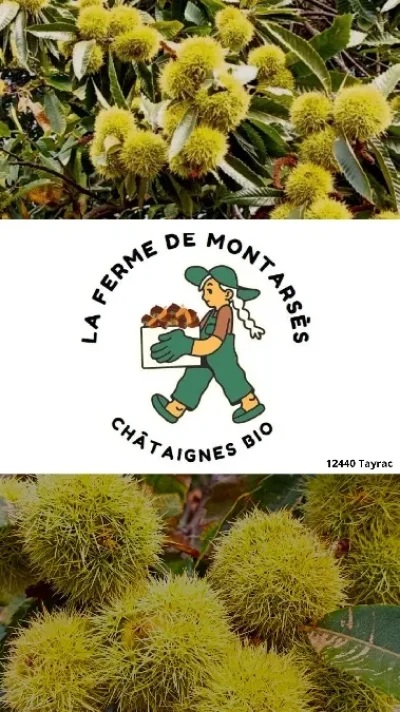 La-Ferme-de-Montarses-8211-Tayrac_2243547