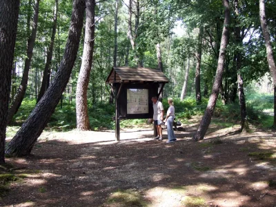 La-Foret-Domaniale-de-Mareuil-8211-Chauvigny_2166326