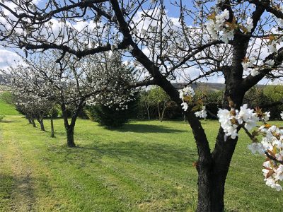 La-Granja-8211-Gite-Bouddha_114237