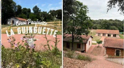La-Guinguette-de-Paupiette-Maison-de-Grave-8211-Le-Verdon-sur-Mer_2421431